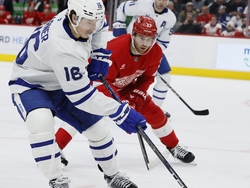 Maple Leafs Red Wings Hockey