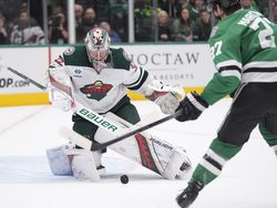 Wild Stars Hockey