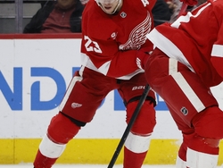Maple Leafs Red Wings Hockey
