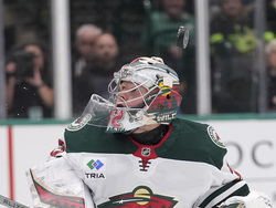 Wild Stars Hockey