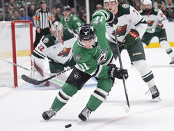 Wild Stars Hockey