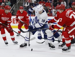 Maple Leafs Red Wings Hockey