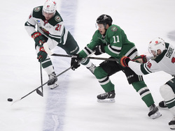 Wild Stars Hockey