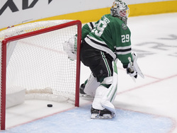 Wild Stars Hockey