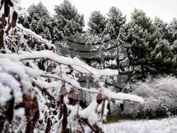 Разград - зима - обстановка