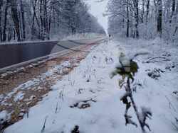 Разград - зима - обстановка