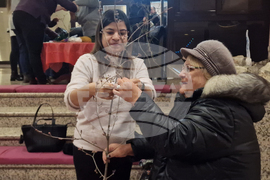 Разград - сурвакници - работилница