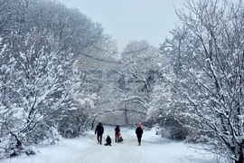Хижа „Бонсови поляни” - шейни