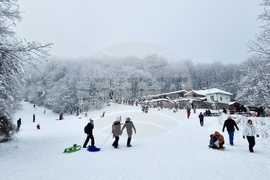 Хижа „Бонсови поляни” - шейни