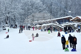 Хижа „Бонсови поляни” - шейни