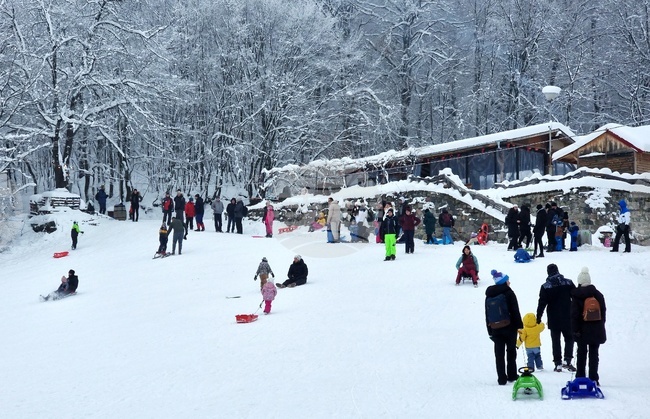 Хижа „Бонсови поляни” - шейни
