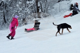 Хижа „Бонсови поляни” - шейни