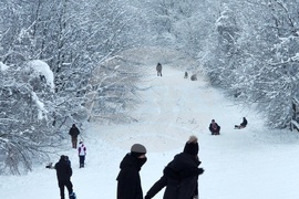 Хижа „Бонсови поляни” - шейни