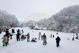 Хижа „Бонсови поляни” - шейни