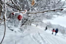 Люлин планина - зимна обстановка