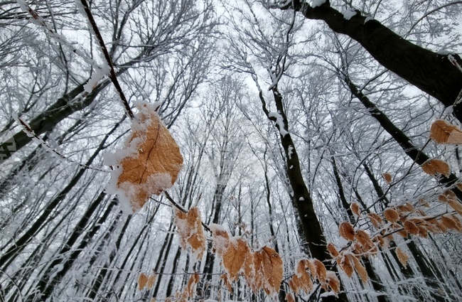 Условията за туризъм са добри, съобщиха от Планинската спасителна служба на БЧК