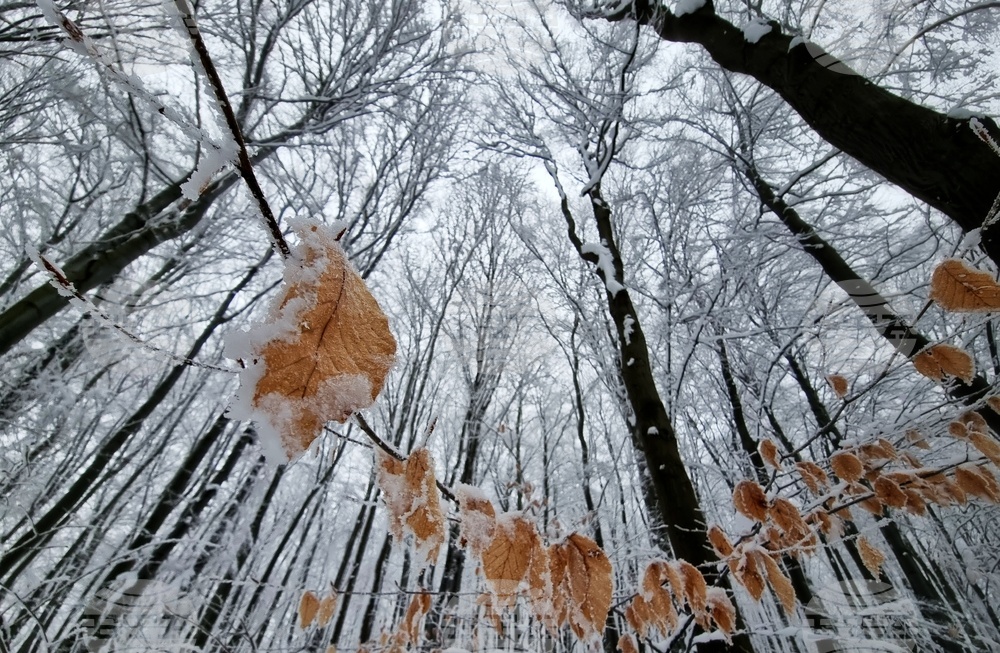 Люлин планина - зимна обстановка