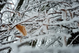 Люлин планина - зимна обстановка