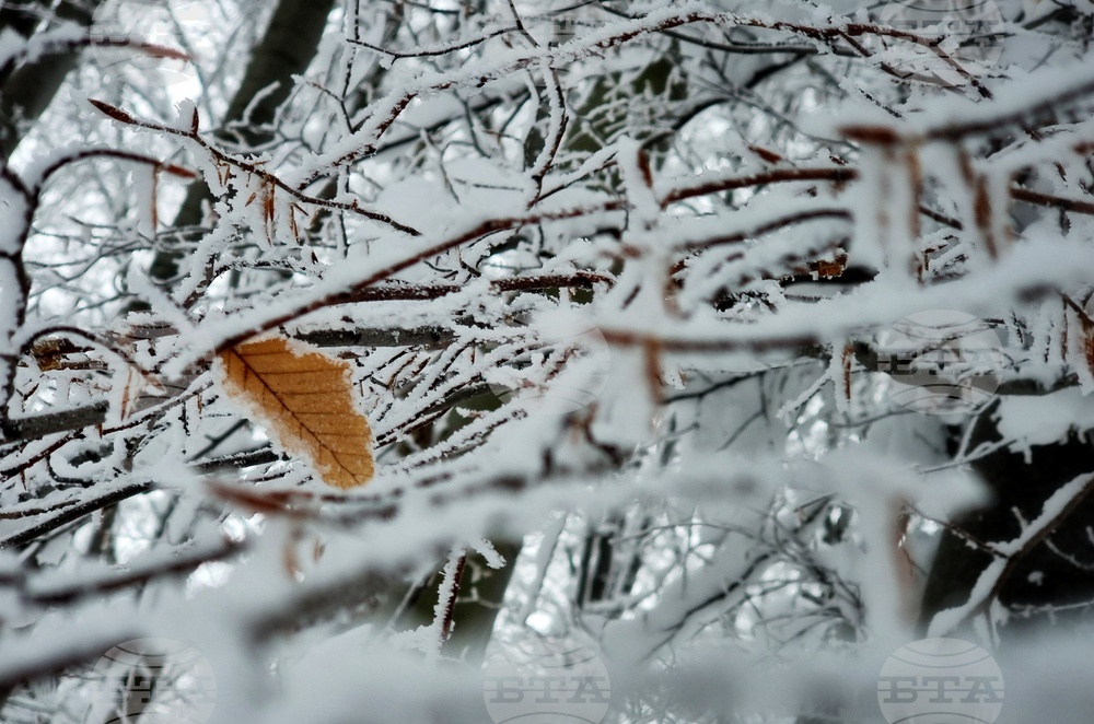 Прогноза за времето
