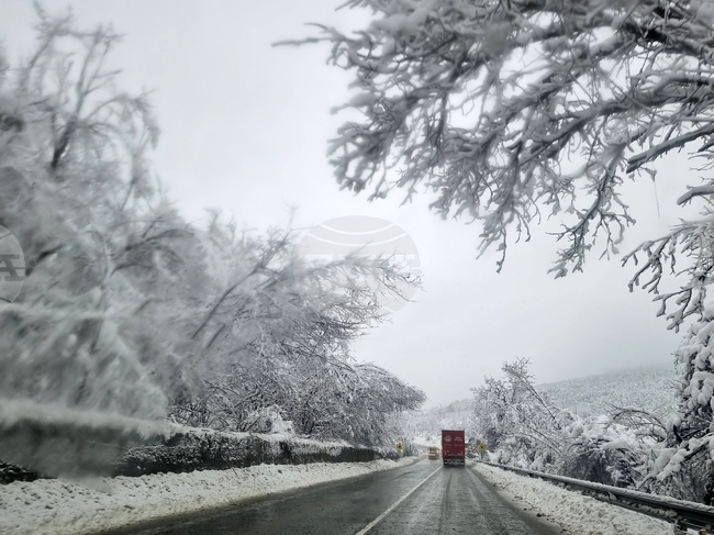 Между 30 и 40 населени места в община Елена продължават да имат проблеми с електрозахранването
