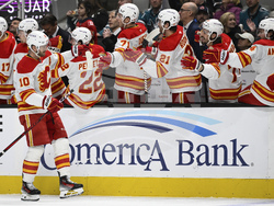 Flames Sharks Hockey