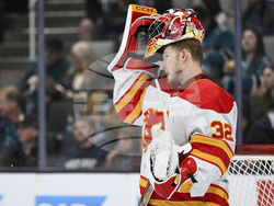 Flames Sharks Hockey