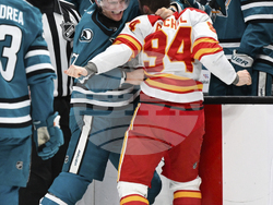 Flames Sharks Hockey