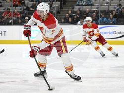 Flames Sharks Hockey