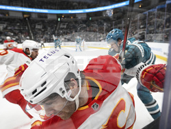 Flames Sharks Hockey