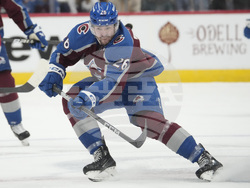 Avalanche Predators Trade Hockey