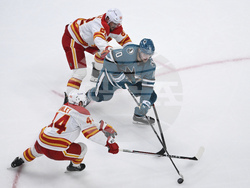 Flames Sharks Hockey