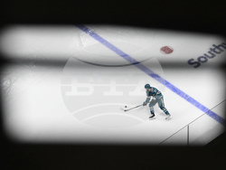 Flames Sharks Hockey