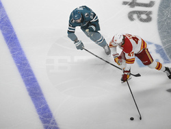 Flames Sharks Hockey
