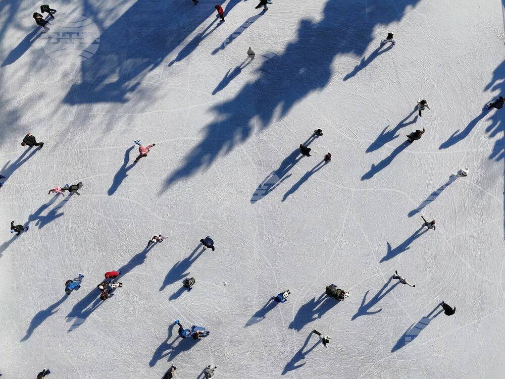 Блогът на българите в Австрия разказва за ледена пързалка пред виенското кметство