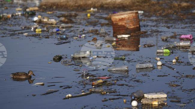 Силен южен вятър донесе големи количества боклук в Дубровник