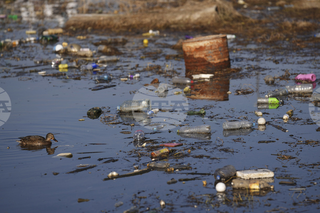 Силен южен вятър донесе големи количества боклук в Дубровник