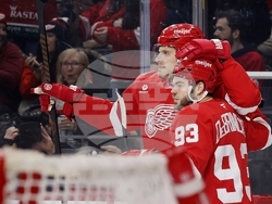 Capitals Red Wings Hockey