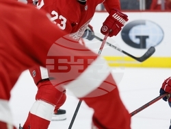 Capitals Red Wings Hockey