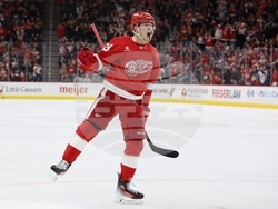 Capitals Red Wings Hockey