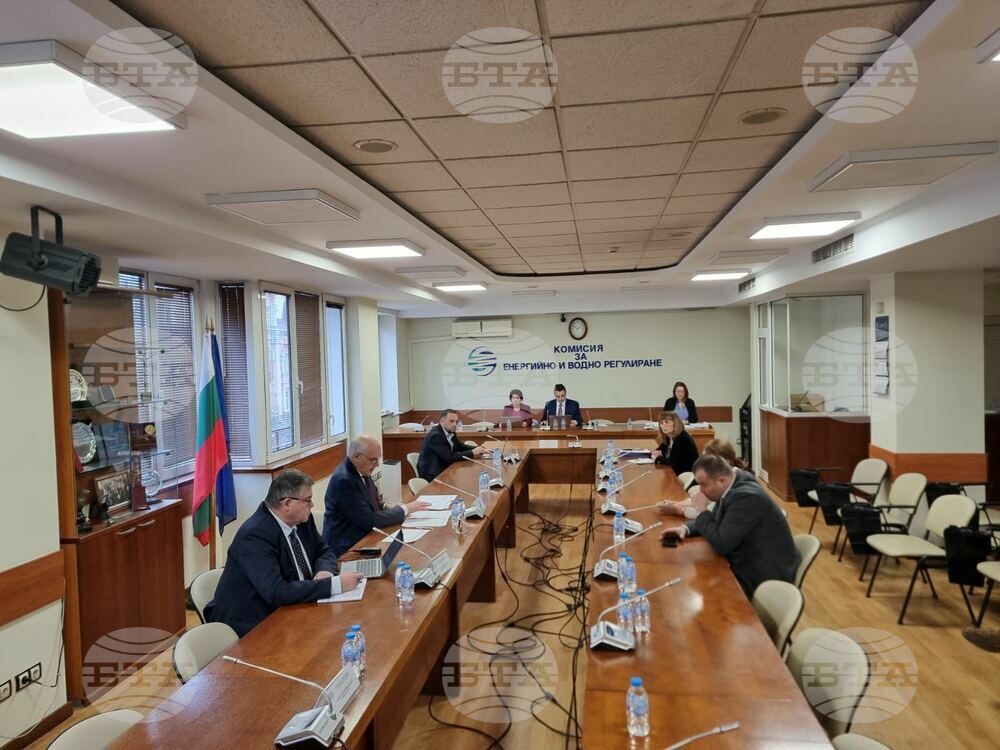 Около 8 процента се очаква да бъде поскъпването на природния газ за януари, каза изпълнителният директор на "Булгаргаз"