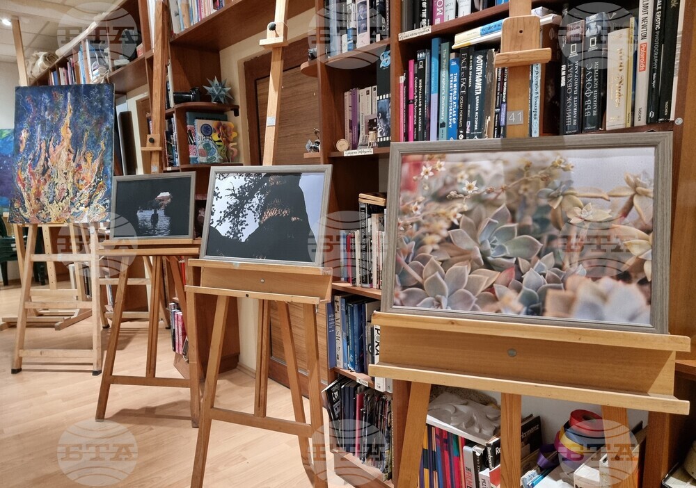 Варна - школа „Дедал“ - годишна среща - сборна изложба