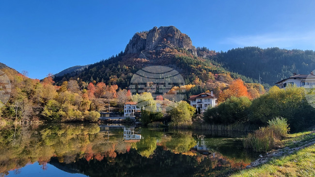 Бюрото по труда в Смолян обяви 13 позиции за висшисти 