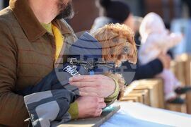 Бургас - ледена пързалка