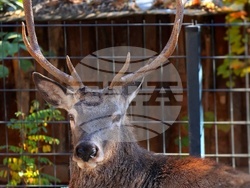 Снимка: Община Стара Загора