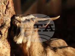 Снимка: Община Стара Загора