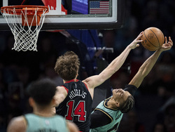 Bulls Hornets Basketball
