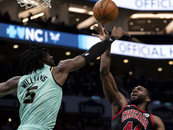Bulls Hornets Basketball