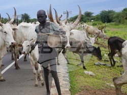 Jimmy Carter Guinea Worm