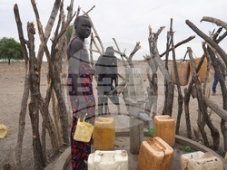 Jimmy Carter Guinea Worm