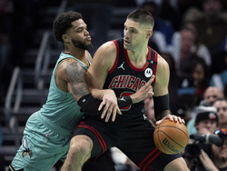 Bulls Hornets Basketball